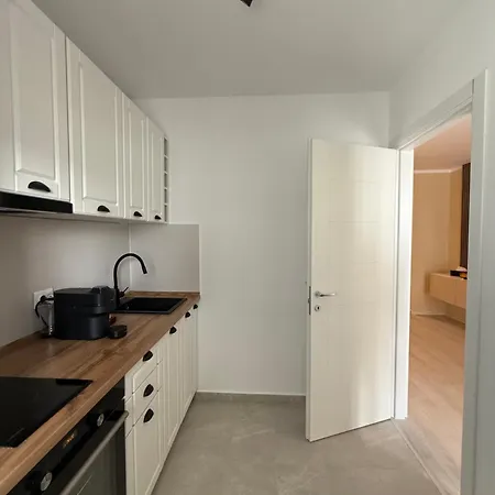 The Green Pine Studio Hils Brauner - Free Parking - Close To Subway Lägenhet Bukarest