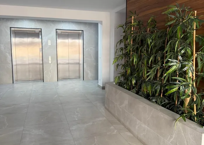 The Pine - Hils Brauner Бухарест