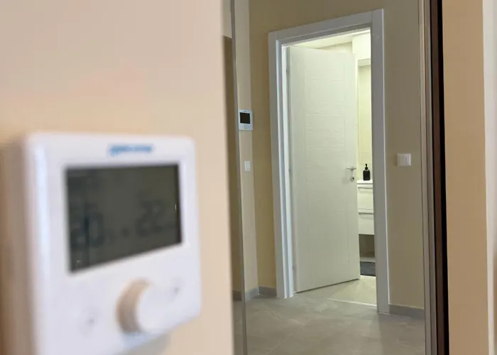 The Pine - Hils Brauner * 布加勒斯特