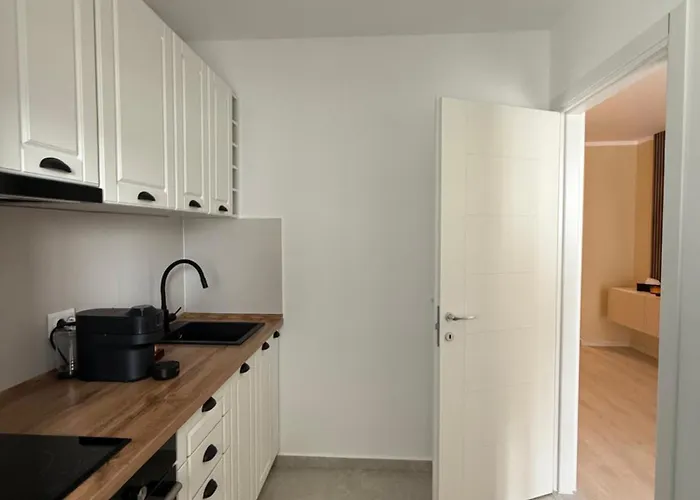 The Pine - Hils Brauner Apartament Bucureşti