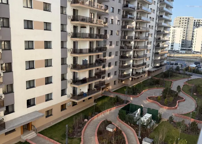 The Pine - Hils Brauner